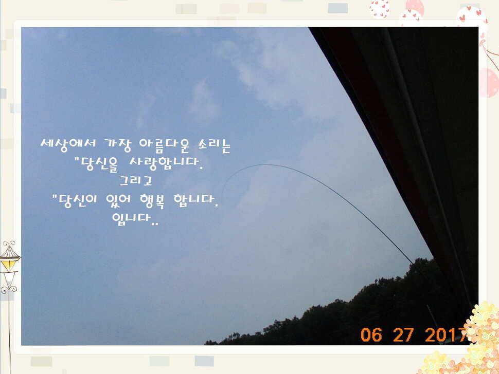 도심속의 작은 쉼터 화성 관리 낚시터입니다3주 연속 만석 감사드립니다 (유료터정보 - 유료터점주조황)