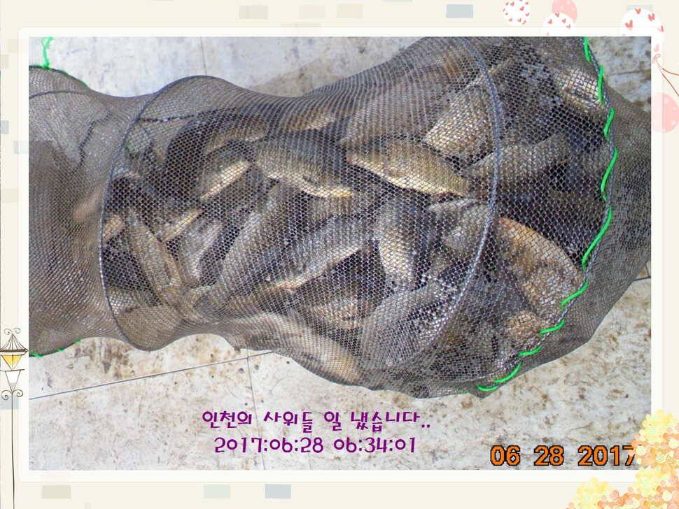 도심속의 작은 쉼터 화성 관리 낚시터입니다3주 연속 만석 감사드립니다 (유료터정보 - 유료터점주조황)