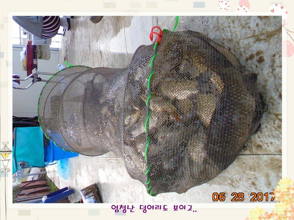 도심속의 작은 쉼터 화성 관리 낚시터입니다3주 연속 만석 감사드립니다 (유료터정보 - 유료터점주조황)