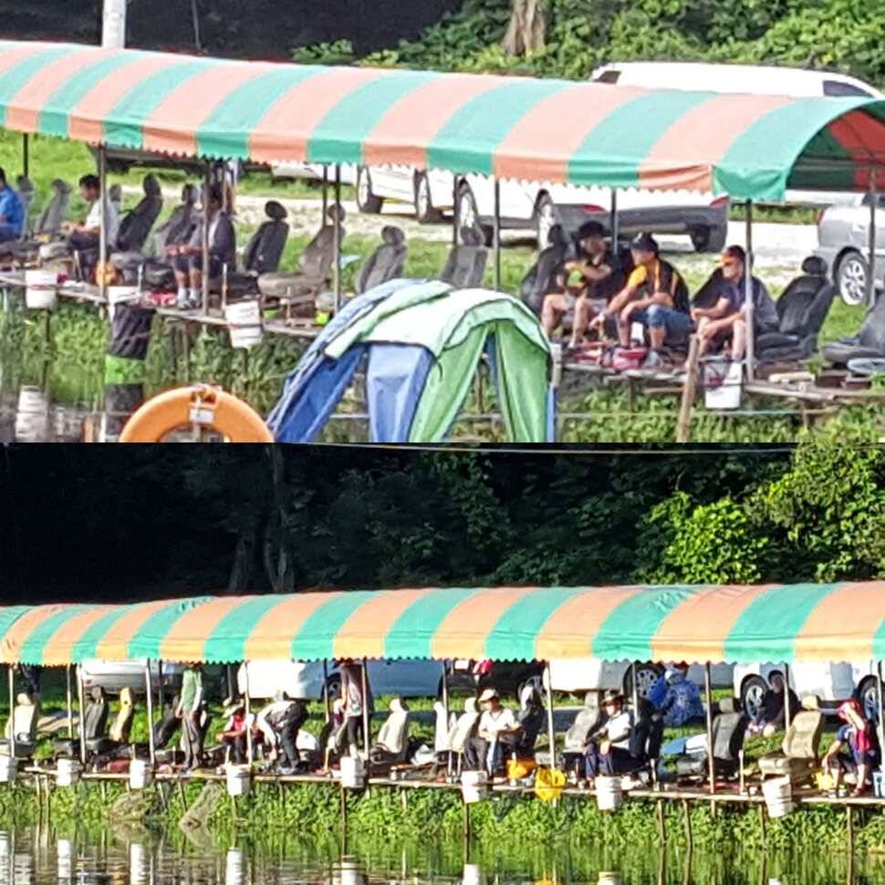 약삭빠른 저력 (유료터정보 - 유료터점주조황)
