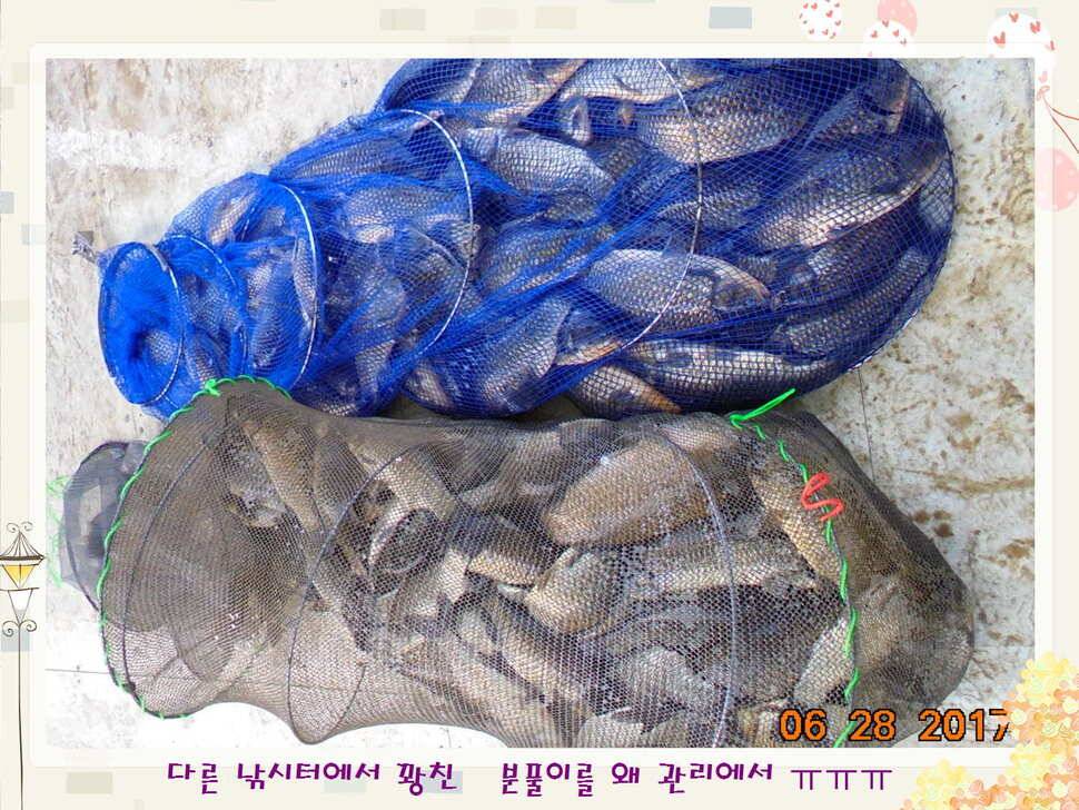 도심속의 작은 쉼터 화성 관리 낚시터입니다3주 연속 만석 감사드립니다 (유료터정보 - 유료터점주조황)