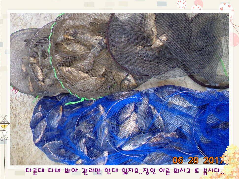 도심속의 작은 쉼터 화성 관리 낚시터입니다3주 연속 만석 감사드립니다 (유료터정보 - 유료터점주조황)