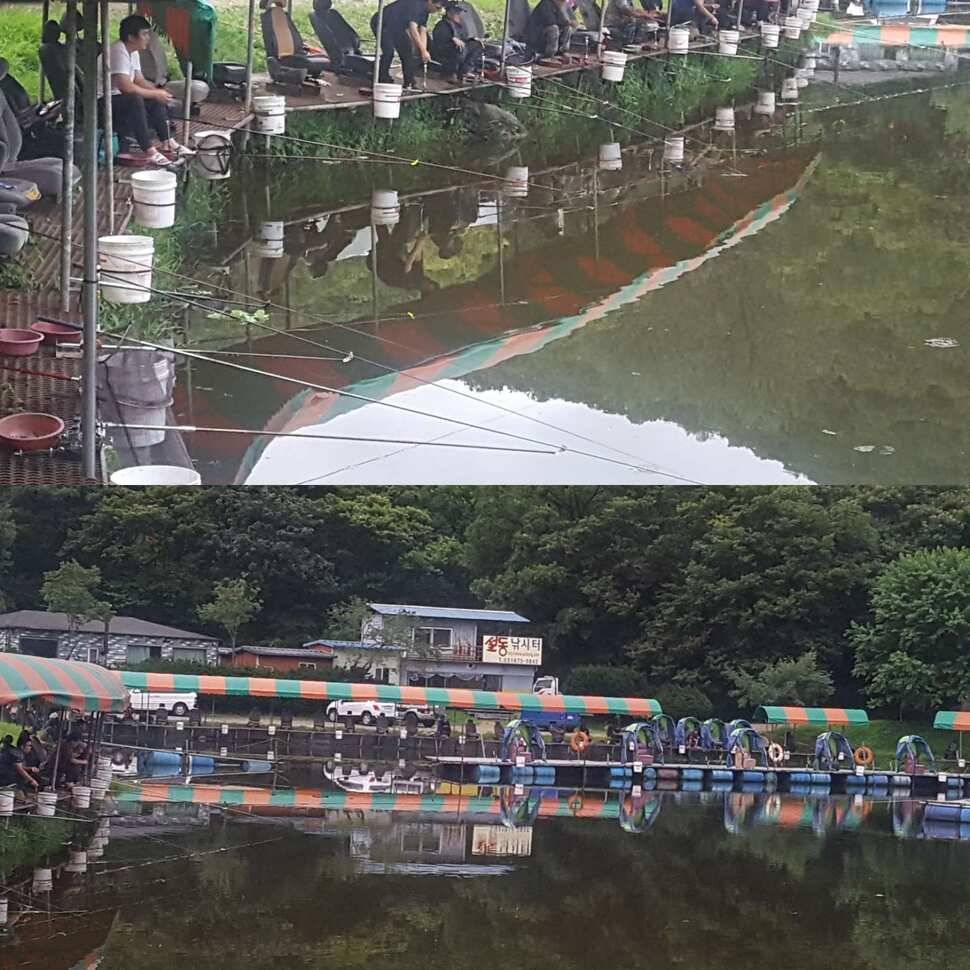 약삭빠른 저력 (유료터정보 - 유료터점주조황)