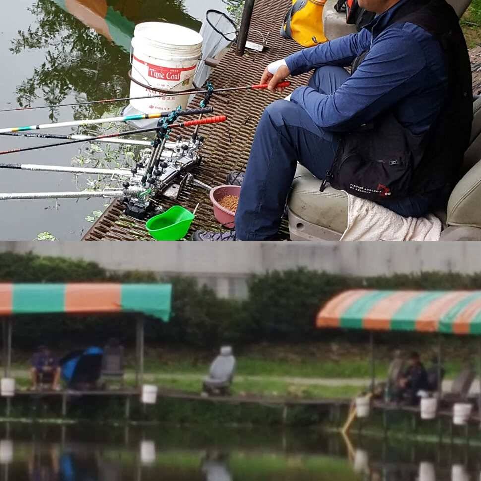 약삭빠른 저력 (유료터정보 - 유료터점주조황)
