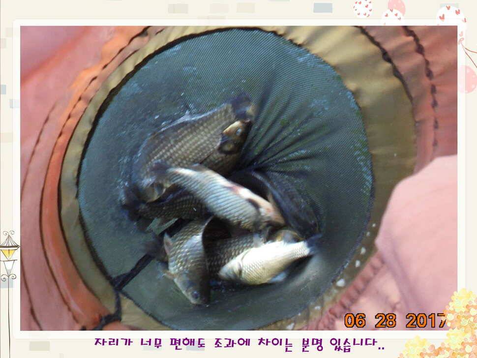 도심속의 작은 쉼터 화성 관리 낚시터입니다3주 연속 만석 감사드립니다 (유료터정보 - 유료터점주조황)