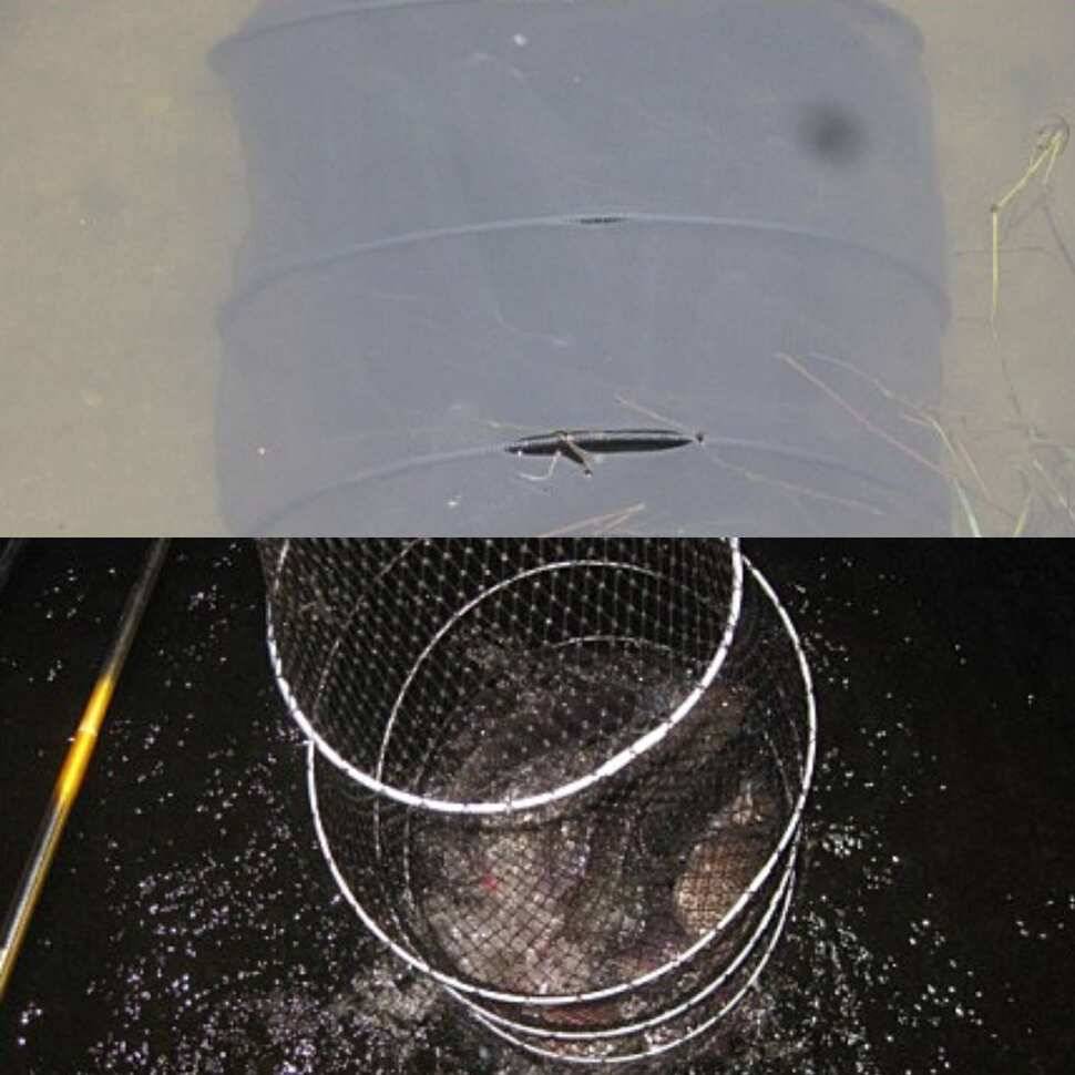 약삭빠른 저력 (유료터정보 - 유료터점주조황)