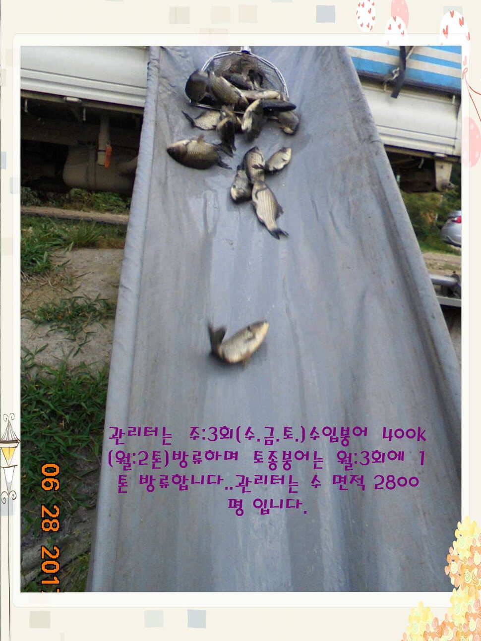 도심속의 작은 쉼터 화성 관리 낚시터입니다3주 연속 만석 감사드립니다 (유료터정보 - 유료터점주조황)