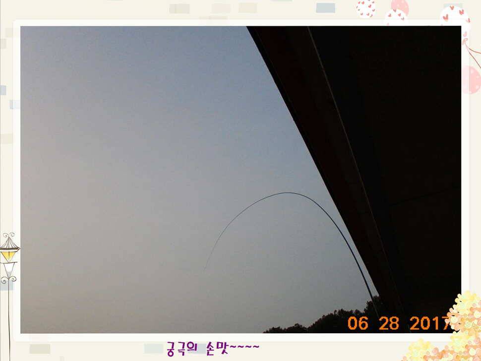 도심속의 작은 쉼터 화성 관리 낚시터입니다3주 연속 만석 감사드립니다 (유료터정보 - 유료터점주조황)