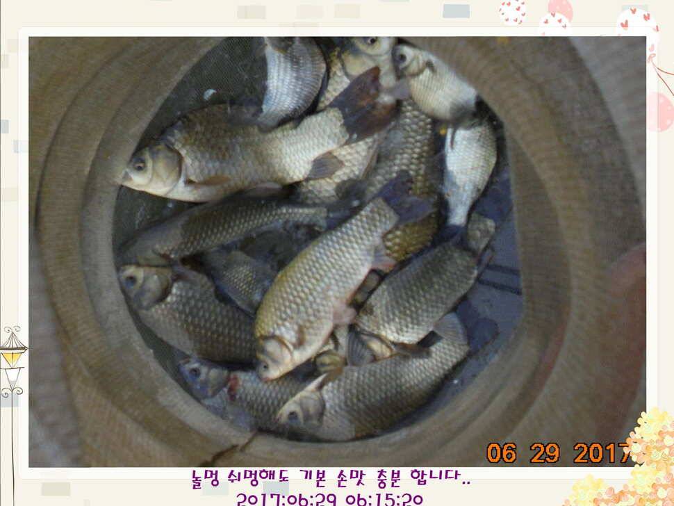 도심속의 작은 쉼터 화성 관리 낚시터입니다3주 연속 만석 감사드립니다 (유료터정보 - 유료터점주조황)
