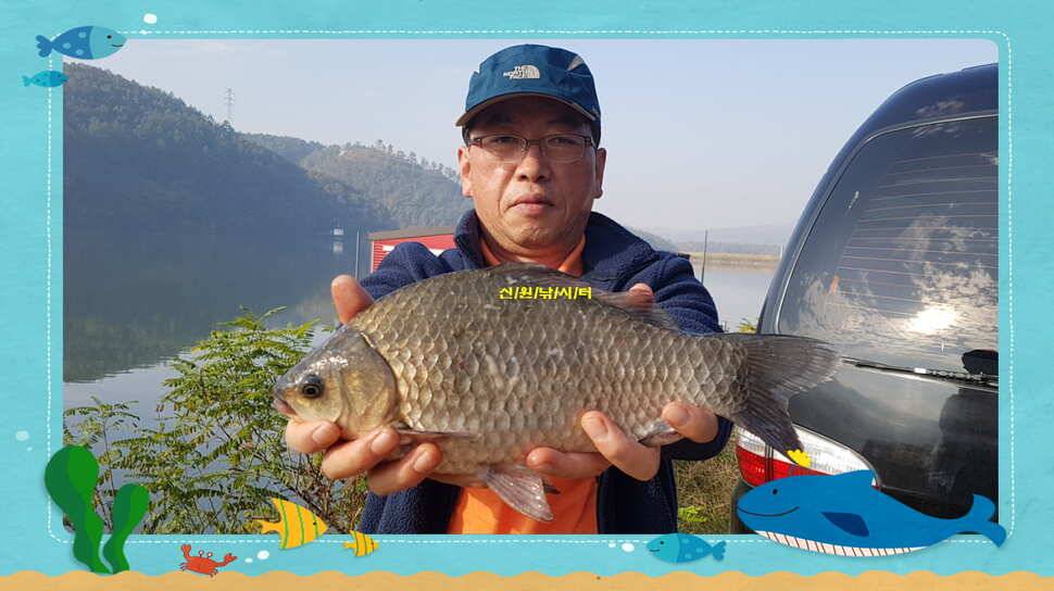 신원낚시터 10월 마지막주 조황소식과 방류 동영상 입니다 (유료터정보 - 유료터점주조황)