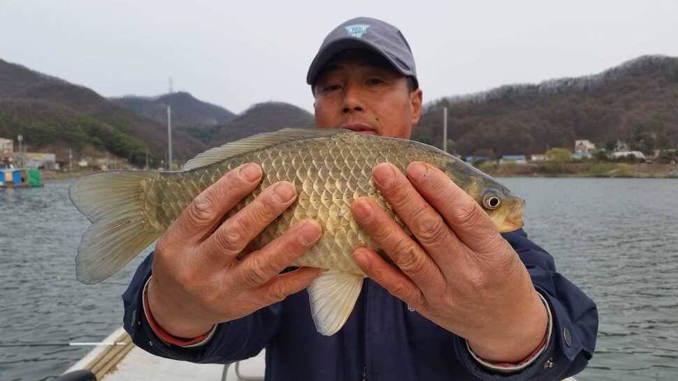 신원낚시터4월셋쨋주 조황소식 (유료터정보 - 유료터점주조황)