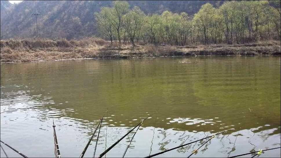 170417 송전지 서울집 조황 (유료터정보 - 유료터점주조황)