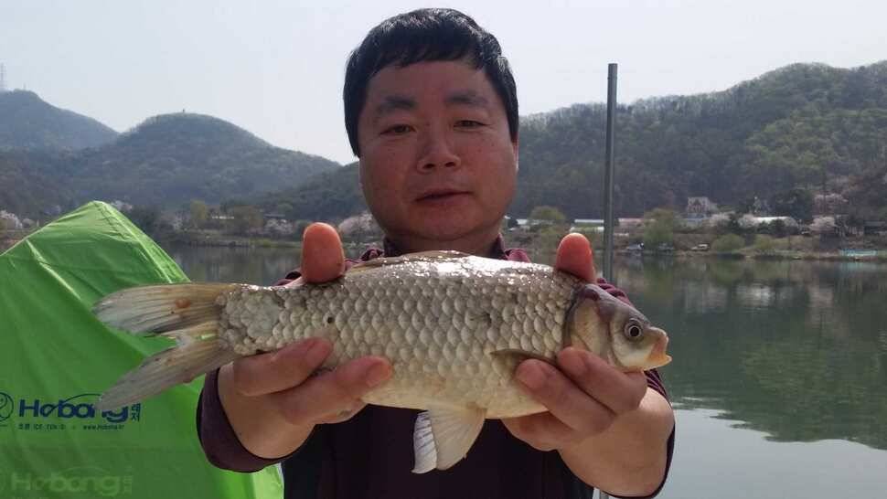 신원낚시터4월셋쨋주 조황소식 (유료터정보 - 유료터점주조황)