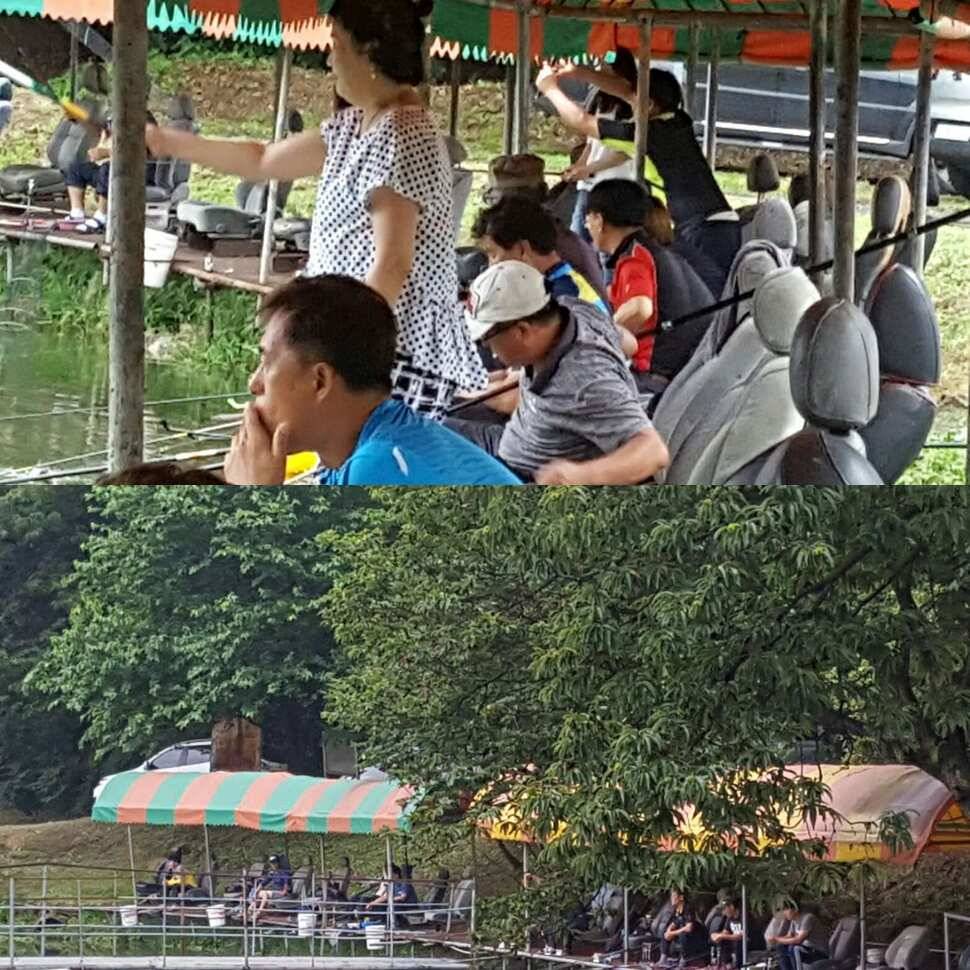 올게 왔구나 왔어 (유료터정보 - 유료터점주조황)