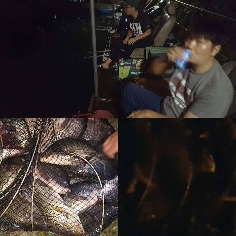 올게 왔구나 왔어 (유료터정보 - 유료터점주조황)