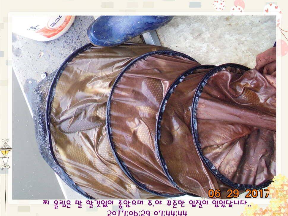 도심속의 작은 쉼터화성 관리 낚시터입니다꿀 같은 단비가 내렸습니다 (유료터정보 - 유료터점주조황)