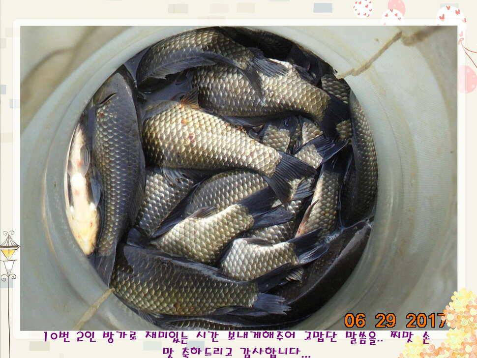 도심속의 작은 쉼터화성 관리 낚시터입니다꿀 같은 단비가 내렸습니다 (유료터정보 - 유료터점주조황)