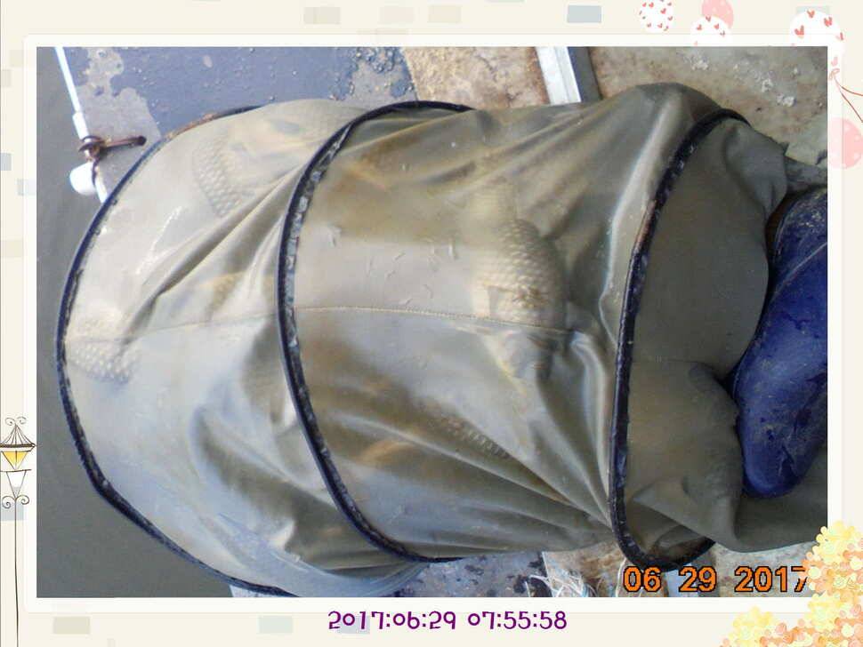 도심속의 작은 쉼터화성 관리 낚시터입니다꿀 같은 단비가 내렸습니다 (유료터정보 - 유료터점주조황)