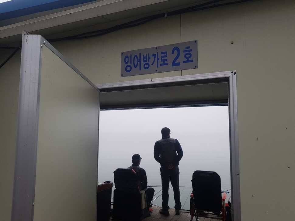 안성 거청낚시터 붕어조황 3 월 26 일 (유료터정보 - 유료터점주조황)