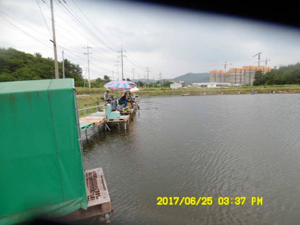 경주 동산낚시터 지난주 조황 (유료터정보 - 유료터점주조황)