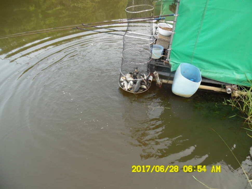 경주 동산낚시터 지난주 조황 (유료터정보 - 유료터점주조황)