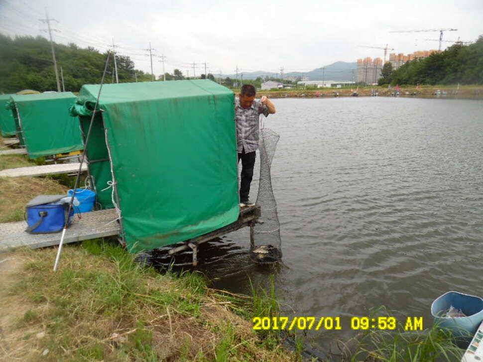 경주 동산낚시터 지난주 조황 (유료터정보 - 유료터점주조황)