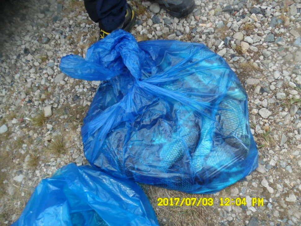 경주 동산낚시터 지난주 조황 (유료터정보 - 유료터점주조황)