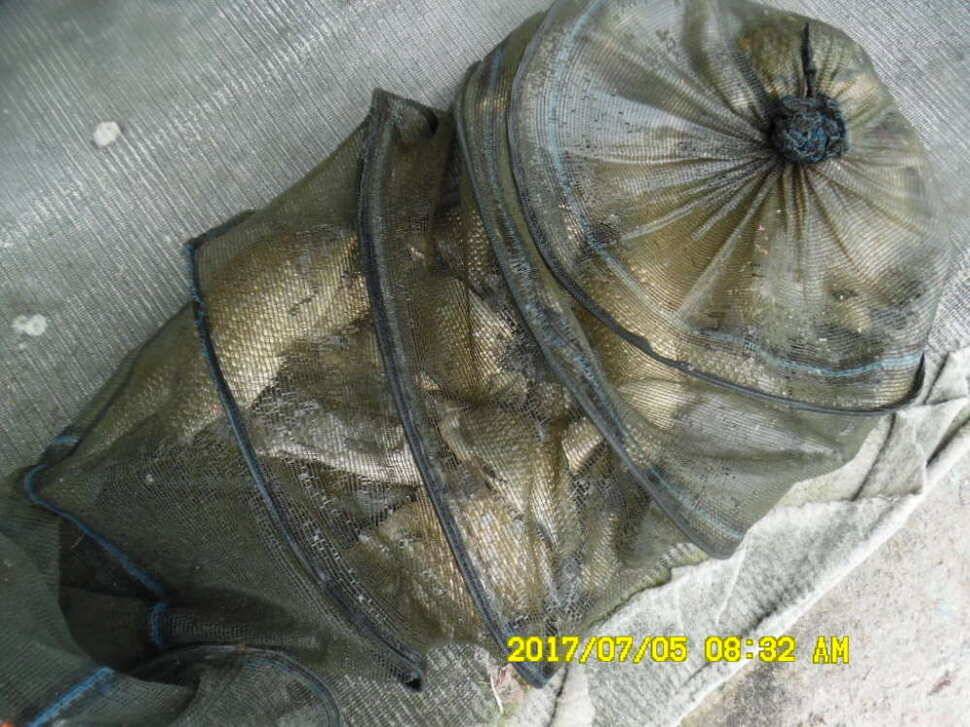 경주 동산낚시터 지난주 조황 (유료터정보 - 유료터점주조황)
