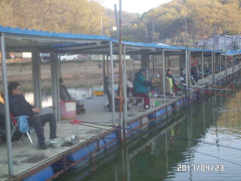 아산 신수지 4월 네째주말 화보입니다 (유료터정보 - 유료터점주조황)