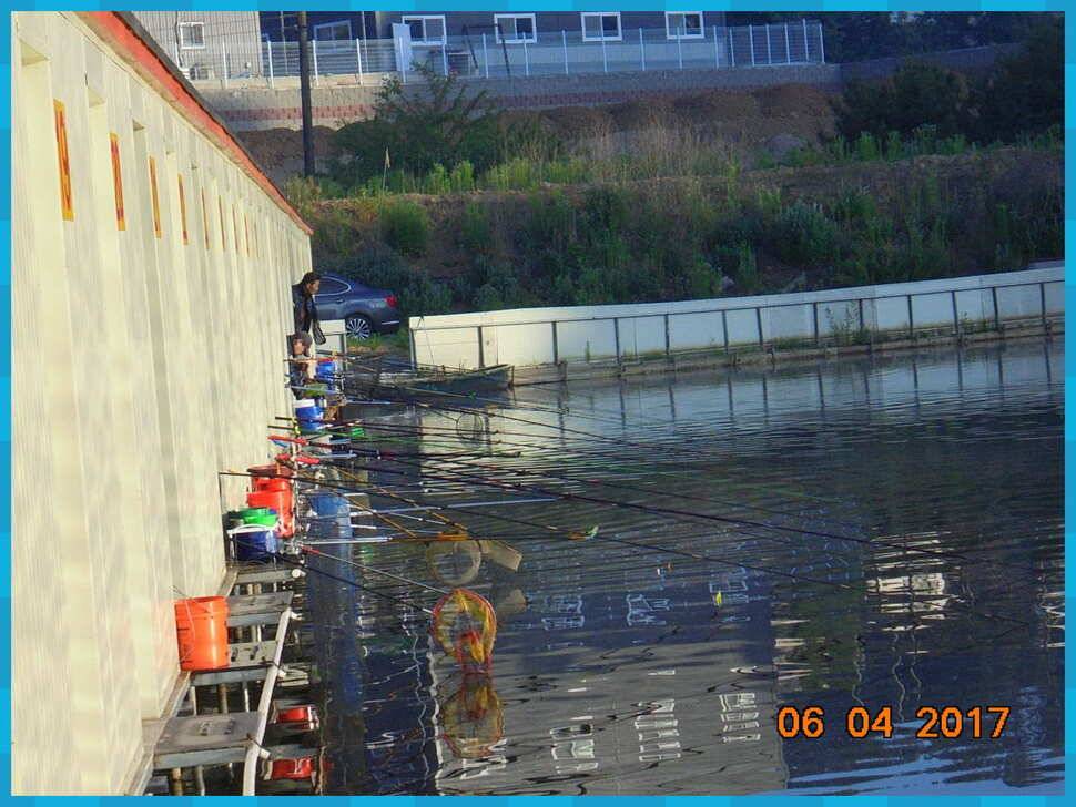 도심속의 작은 쉼터 화성 관리 낚시터입니다토종붕어 강한 기운 받아가세요 (유료터정보 - 유료터점주조황)
