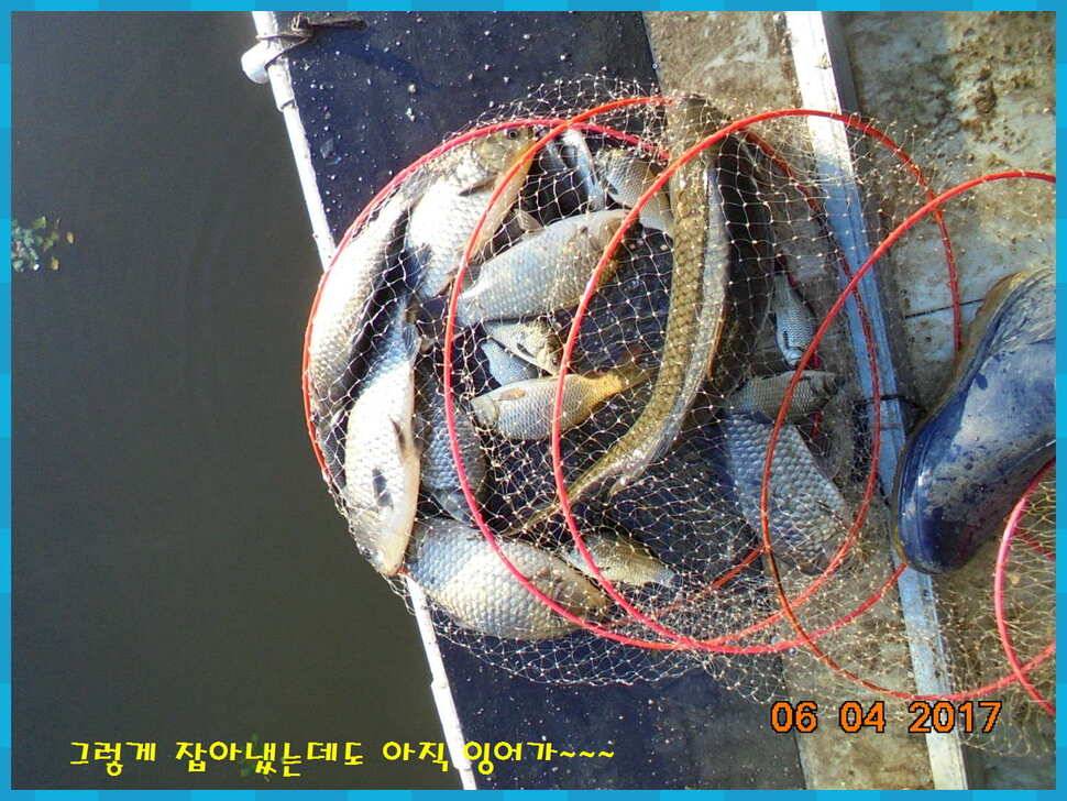 도심속의 작은 쉼터 화성 관리 낚시터입니다토종붕어 강한 기운 받아가세요 (유료터정보 - 유료터점주조황)