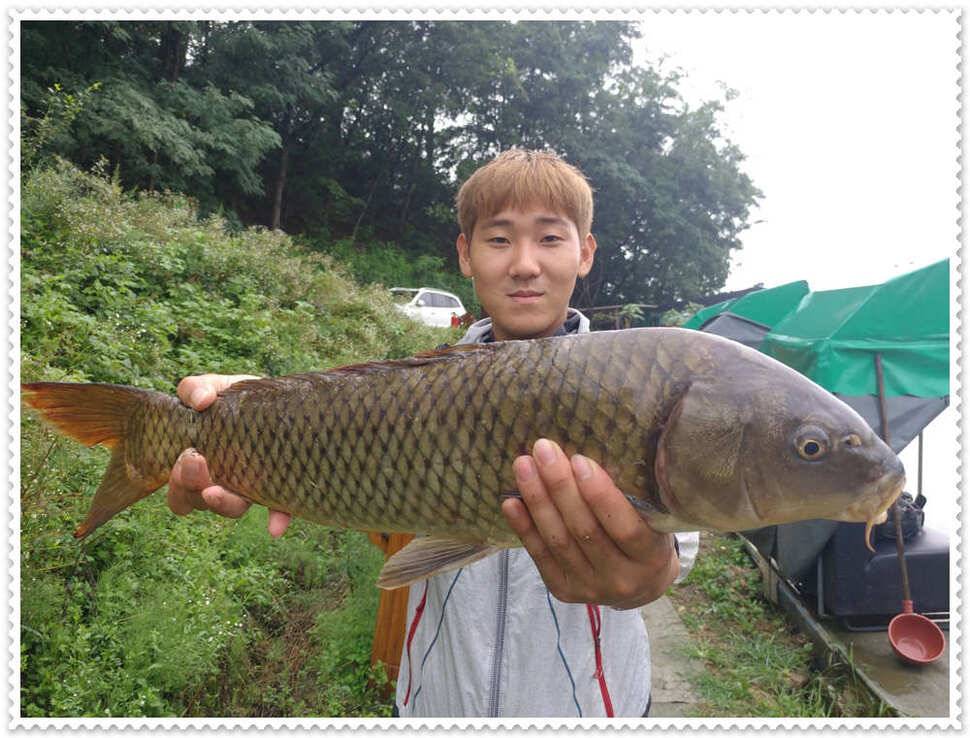 8월2째주즐거운조황정보 (유료터정보 - 유료터점주조황)