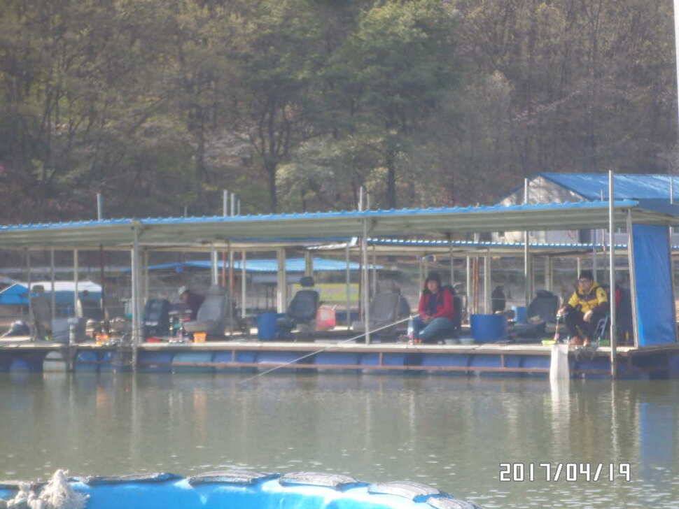 아산 신수지 4월 네째주중 모습입니다 (유료터정보 - 유료터점주조황)