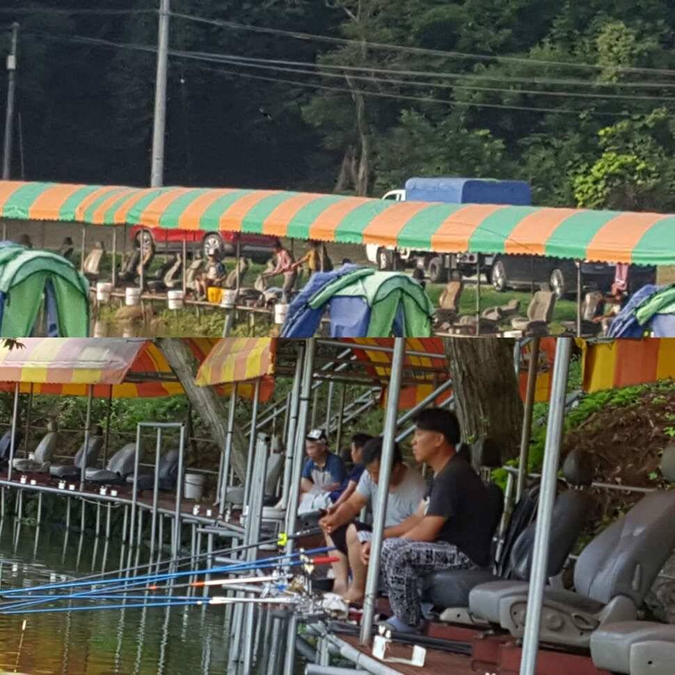 오기와 허세 (유료터정보 - 유료터점주조황)