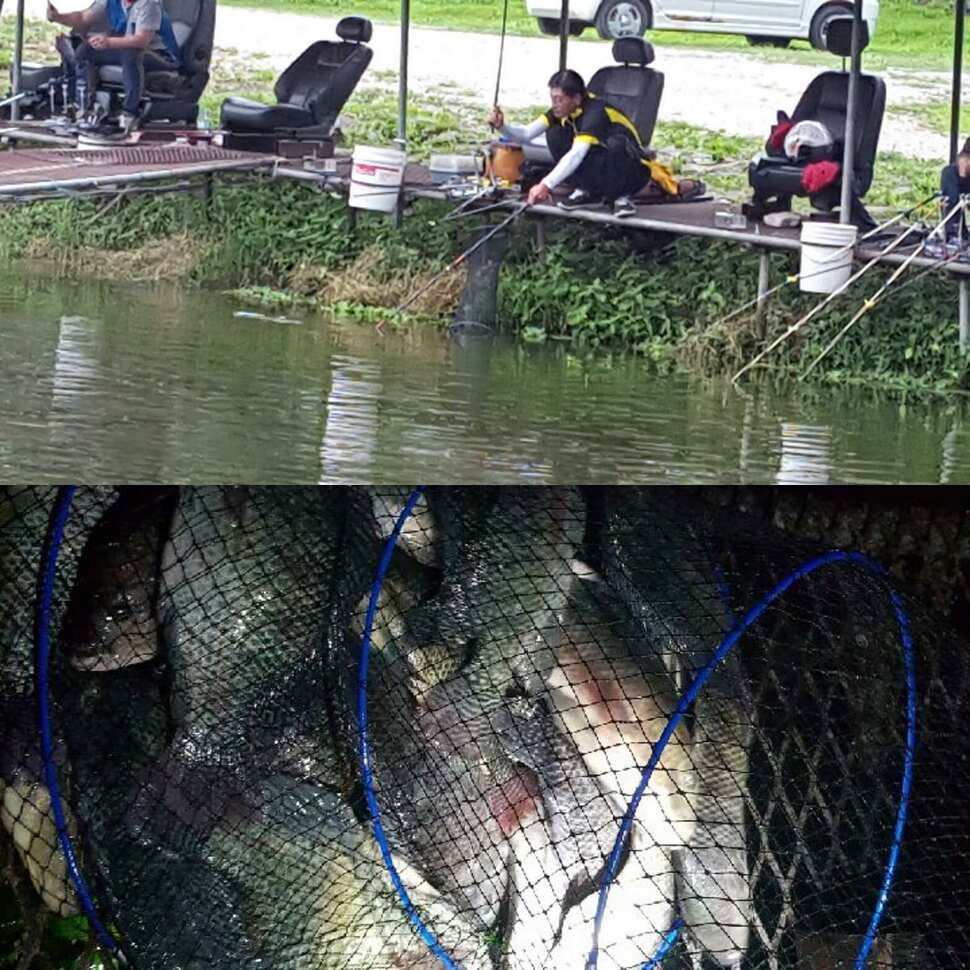 오기와 허세 (유료터정보 - 유료터점주조황)