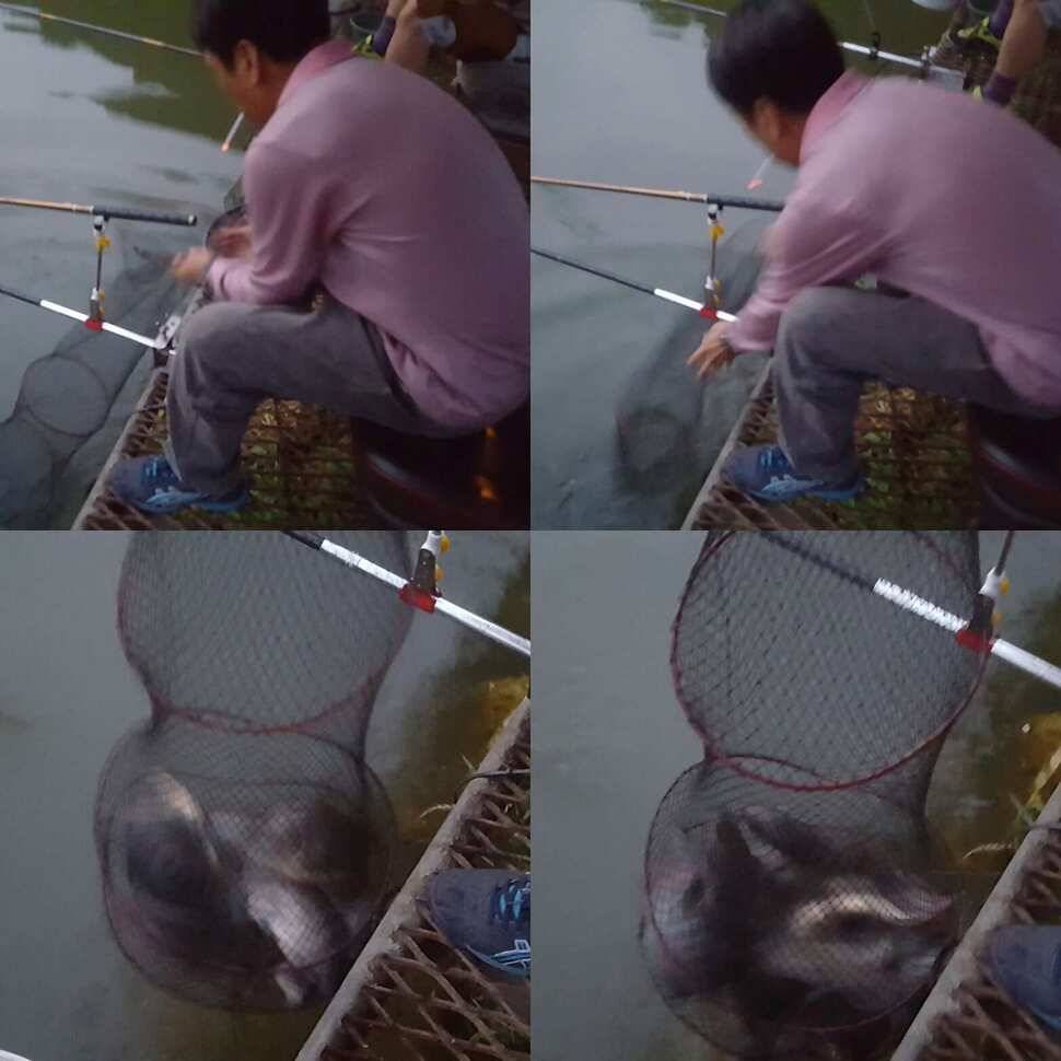 오기와 허세 (유료터정보 - 유료터점주조황)