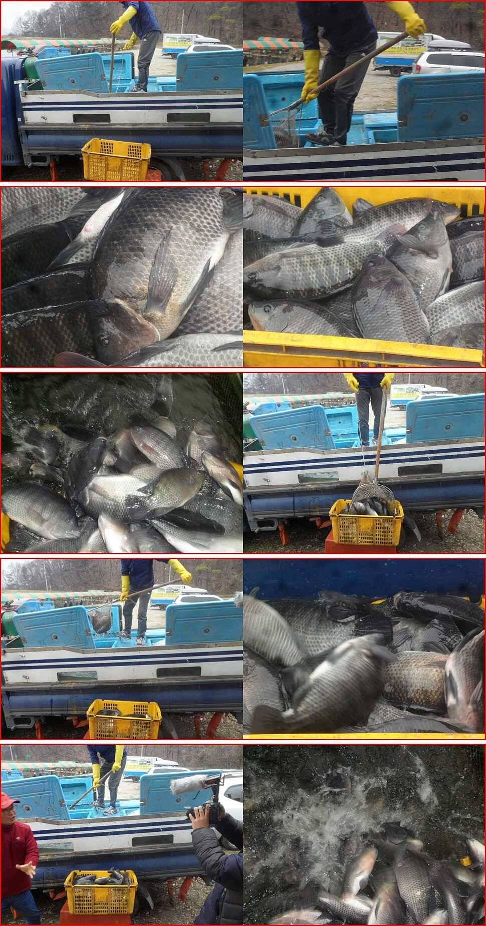 물어물어 (유료터정보 - 유료터점주조황)