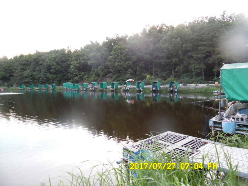 경주동산낚시터 지난주 조황 (유료터정보 - 유료터점주조황)