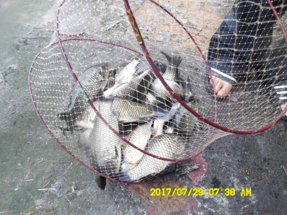 경주동산낚시터 지난주 조황 (유료터정보 - 유료터점주조황)