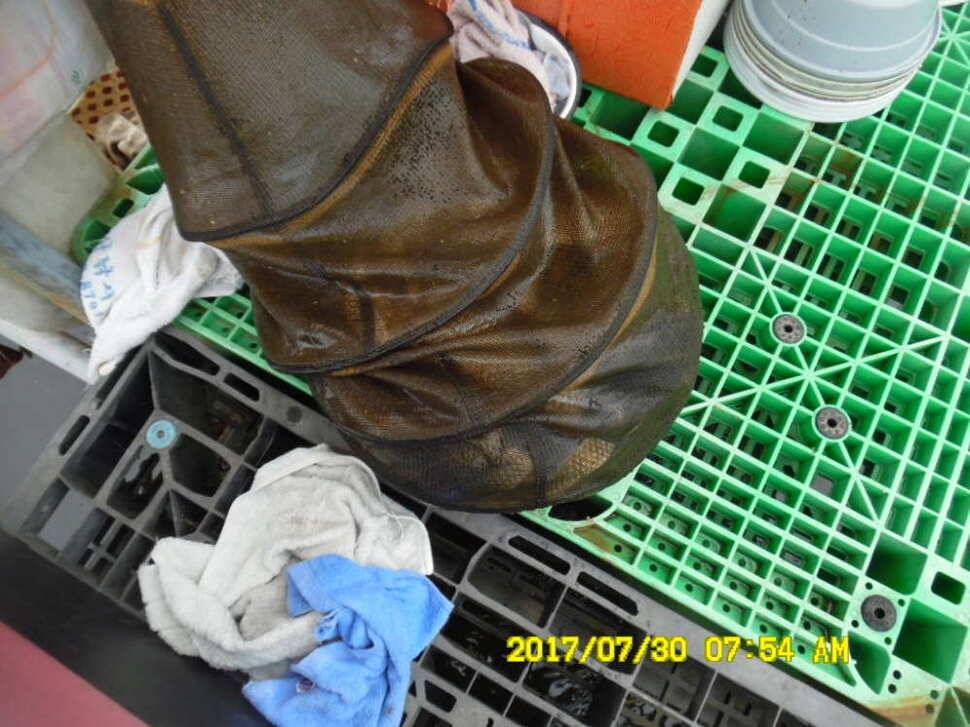 경주동산낚시터 지난주 조황 (유료터정보 - 유료터점주조황)