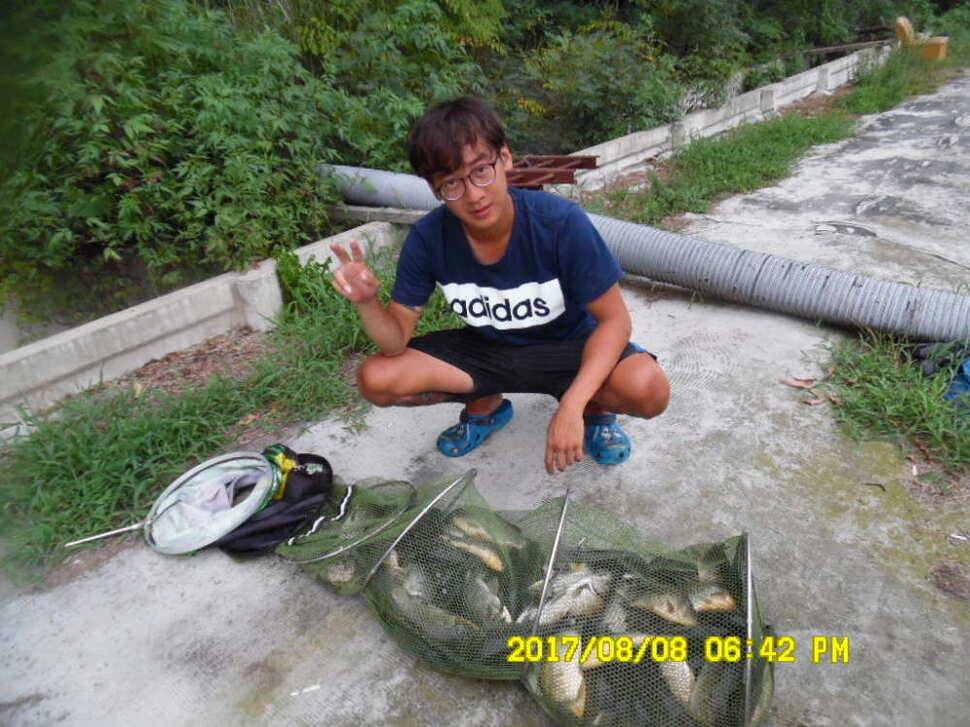 경주 동산낚시터의 꾸준한 조황 (유료터정보 - 유료터점주조황)