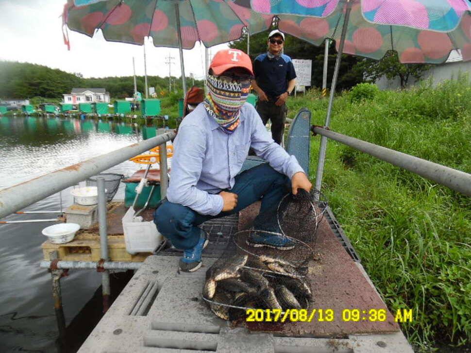 경주 동산낚시터의 꾸준한 조황 (유료터정보 - 유료터점주조황)