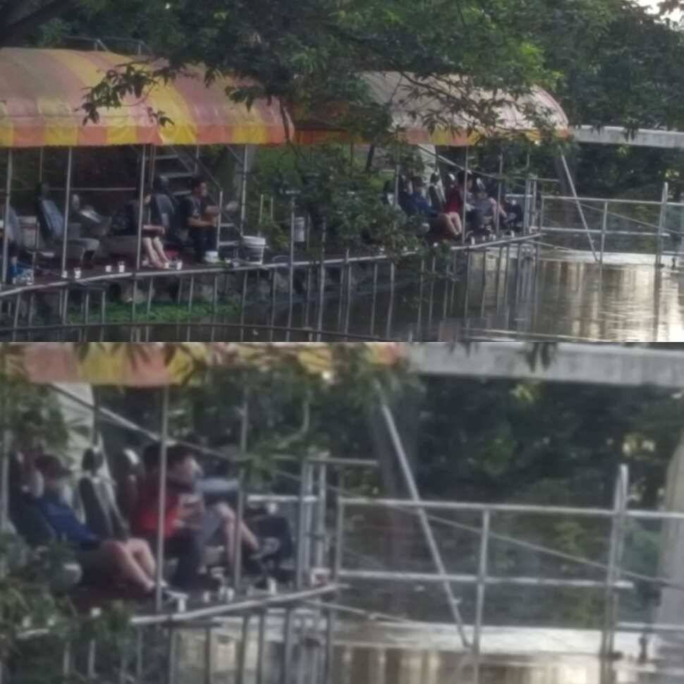개평 (유료터정보 - 유료터점주조황)