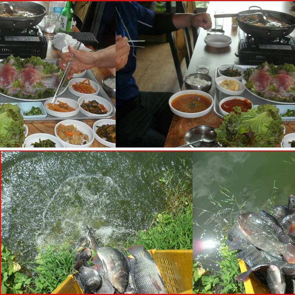기만전술 (유료터정보 - 유료터점주조황)
