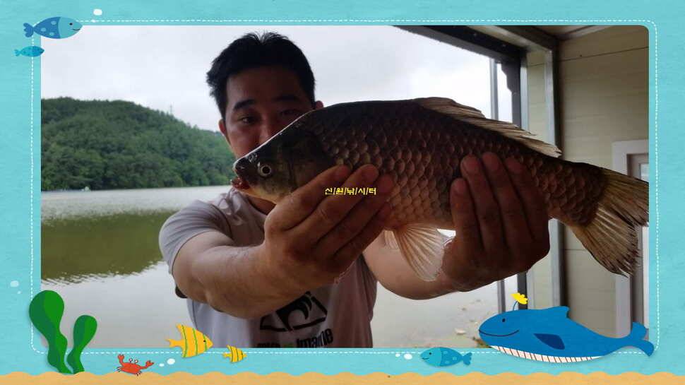 신원낚시터7월둘쨋주 조황소식 (유료터정보 - 유료터점주조황)