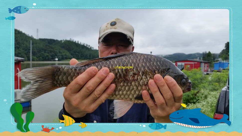 신원낚시터7월둘쨋주 조황소식 (유료터정보 - 유료터점주조황)