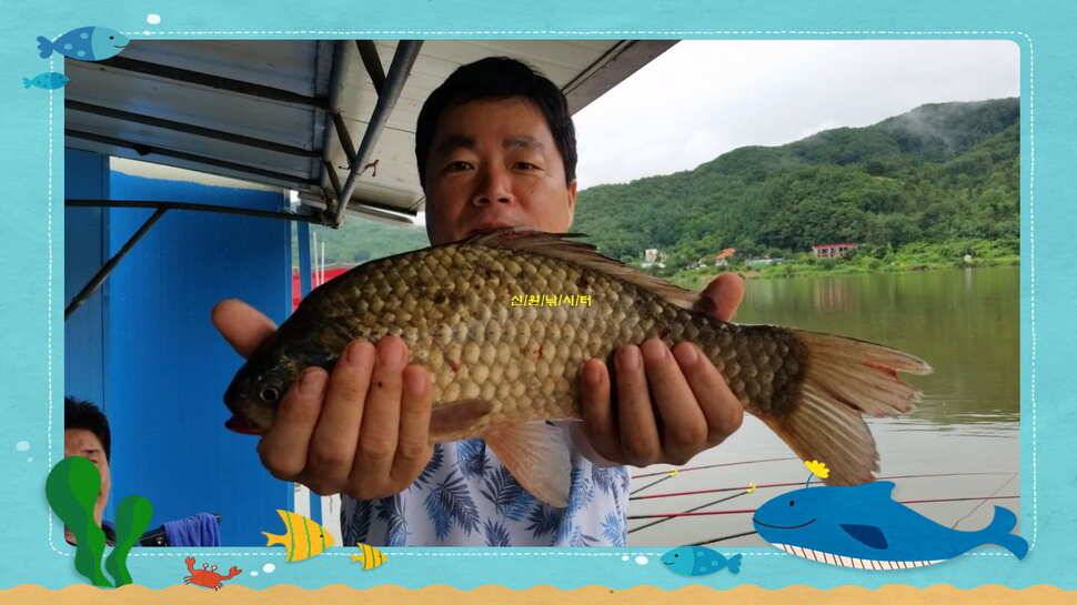 신원낚시터7월둘쨋주 조황소식 (유료터정보 - 유료터점주조황)