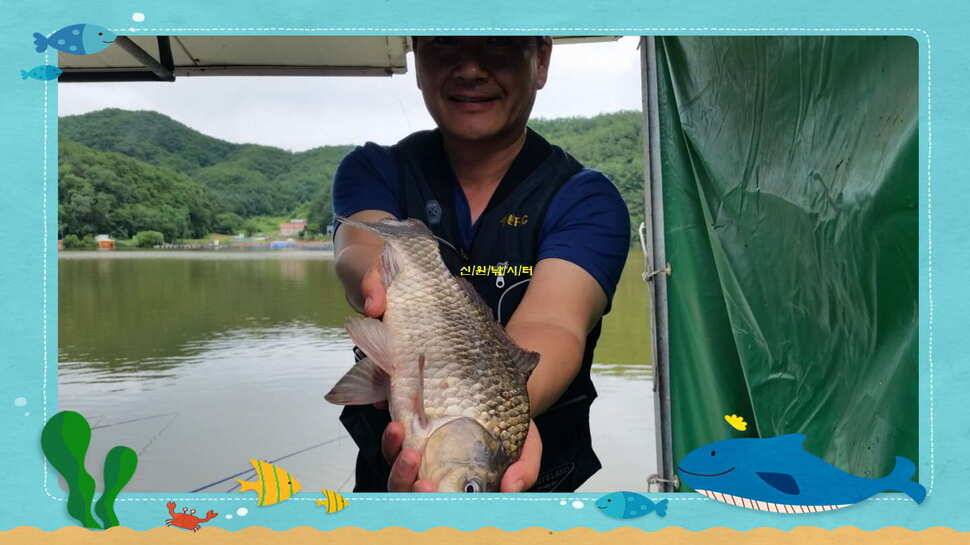 신원낚시터7월둘쨋주 조황소식 (유료터정보 - 유료터점주조황)