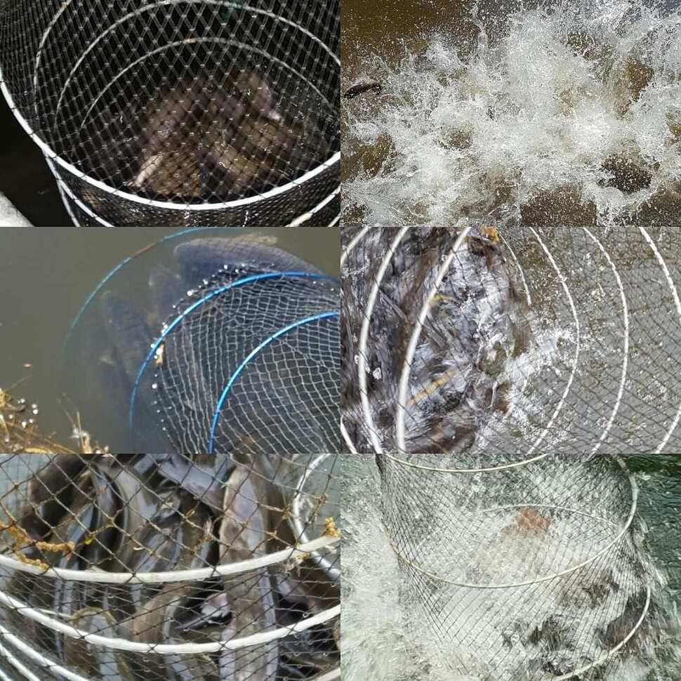 잔걱정 (유료터정보 - 유료터점주조황)