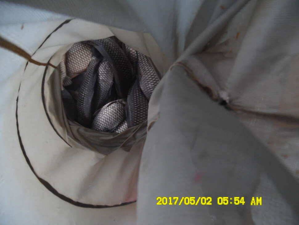 경주 동산낚시터 지난주 조황 (유료터정보 - 유료터점주조황)